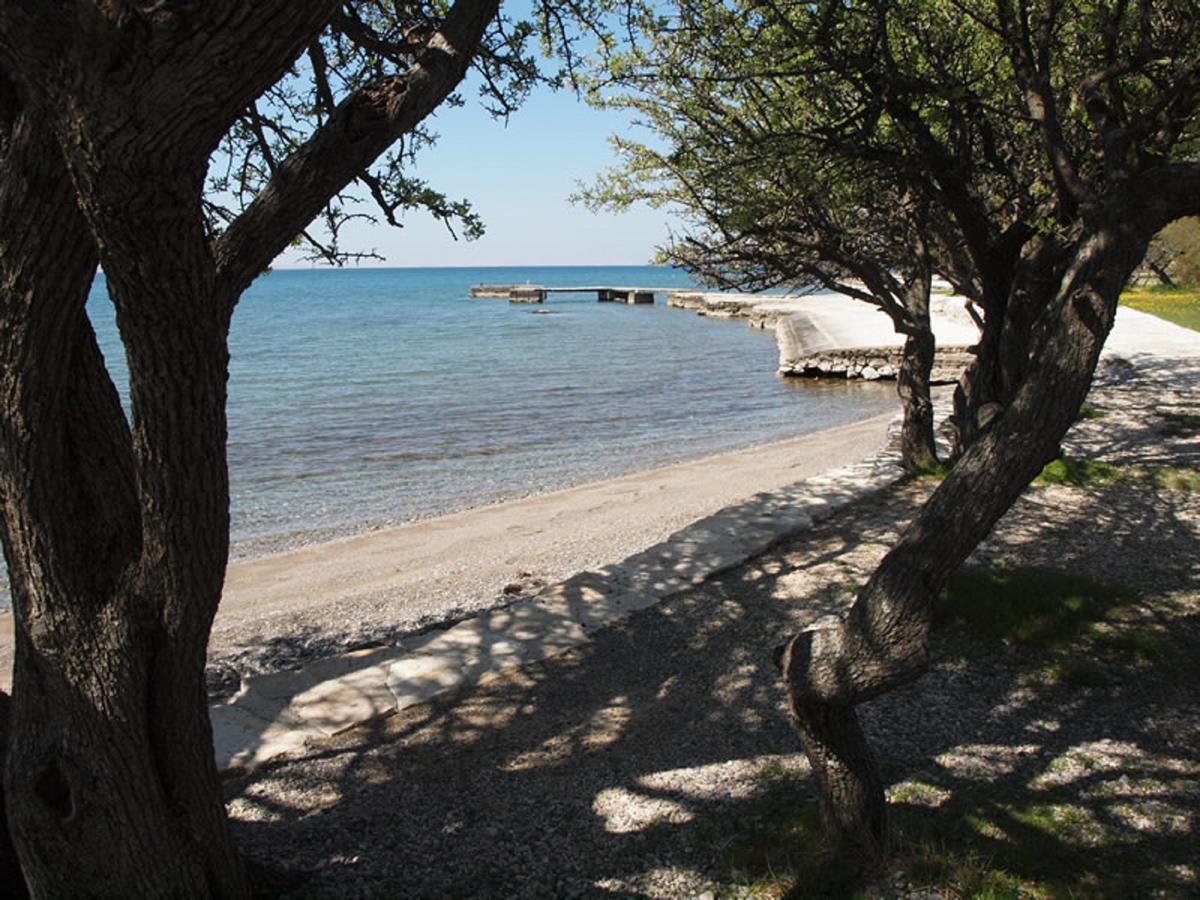 Apartments & Room Masa Starigrad Paklenica Exterior foto